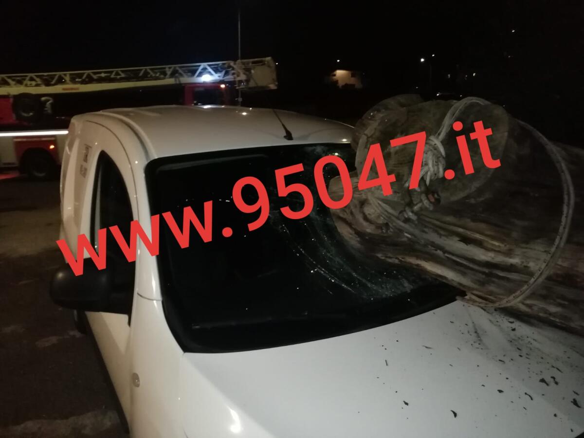 CATANIA: ALBERO CEDE E SI SCHIANTA SU UN'AUTO IN SOSTA, TRAGEDIA EVITATA - 