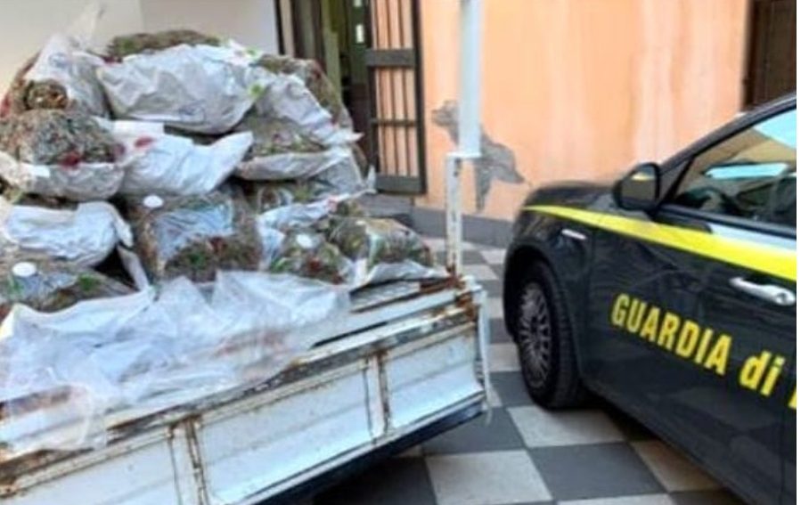 CATANIA, ARRESTATO CON 41 CHILI DI MARIJUANA: LA DROGA NASCOSTA IN UN CONGELATORE