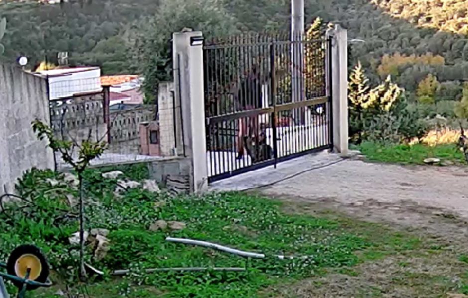 L’INSEGUIMENTO E L’AGGRESSIONE: LE IMMAGINI POCHI MINUTI PRIMA DELL’OMICIDIO DI PARTINICO, LUI LA SGOZZA, POI VA DAL BARBIERE