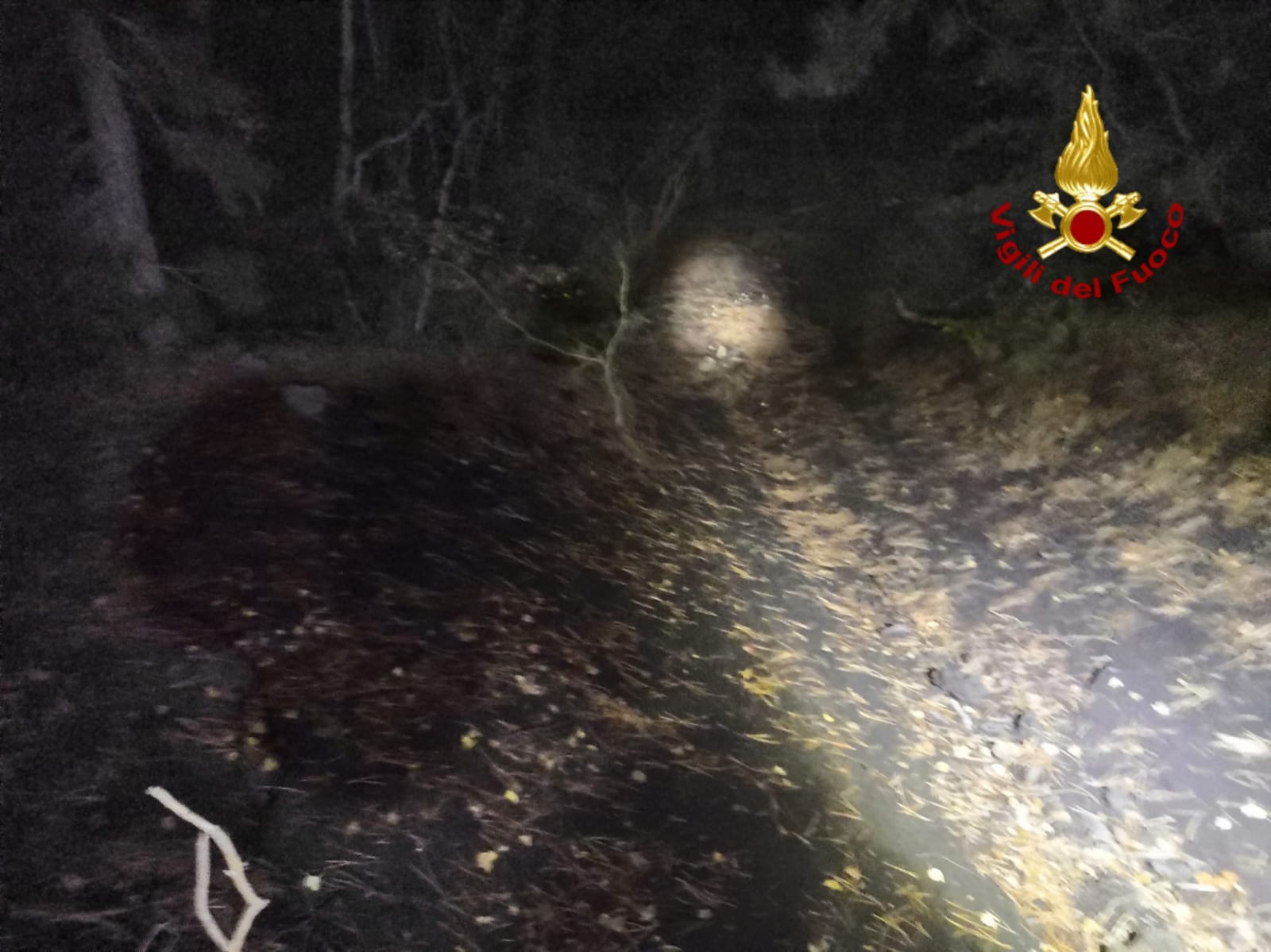 TURISTI SI PERDONO SULL'ETNA: SALVATI DAI VIGILI DEL FUOCO