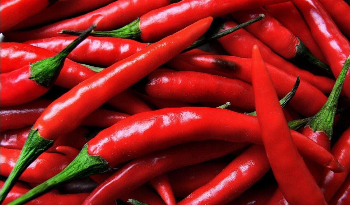 IL PEPERONCINO DIMEZZA IL RISCHIO DI MORTE PER INFARTO E ICTUS - 