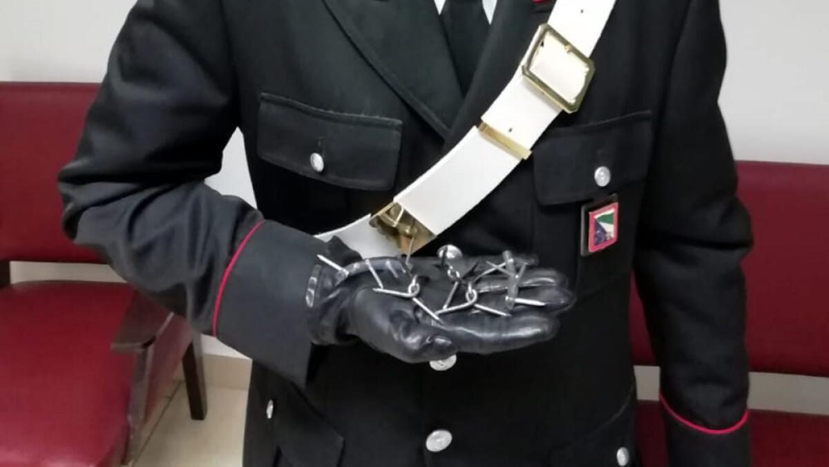 MODENA: GETTA CHIODI IN STRADA, DENUNCIATO GOMMISTA. SORPRESO DAI CARABINIERI, IN CASA NE AVEVA SEI CHILI - 