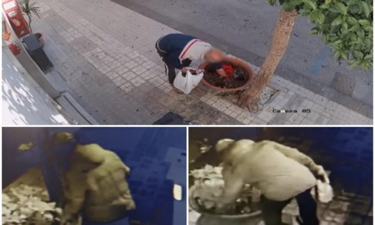 SIRACUSA: LADRI DELLE STELLE DI NATALE  BECCATI DALLE TELECAMERE DI SICUREZZA - 