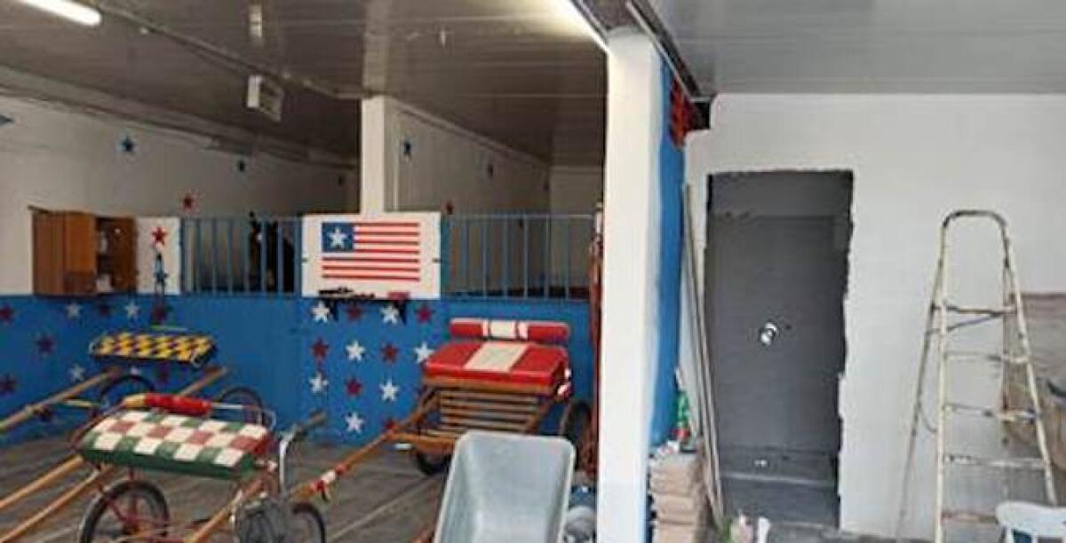 CATANIA, DUE DENUNCE PER MALTRATTAMENTO E DUE PER ABBANDONO DI ANIMALI - 