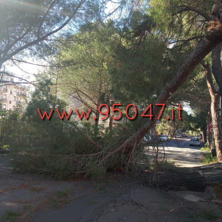 PATERNO' E BELPASSO, DANNI PER IL FORTE VENTO