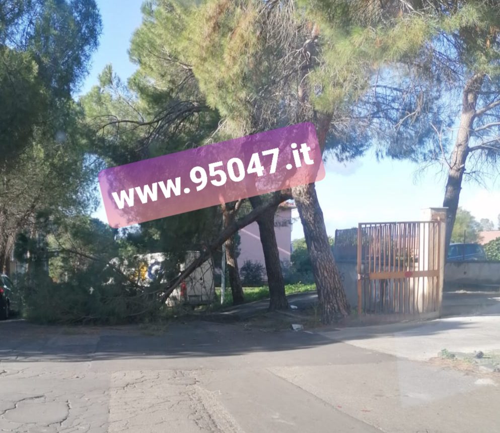 PATERNO' E BELPASSO, DANNI PER IL FORTE VENTO