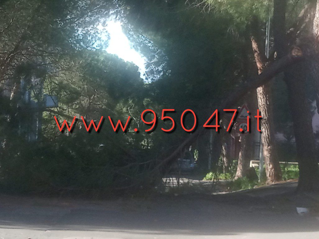 PATERNO' E BELPASSO, DANNI PER IL FORTE VENTO