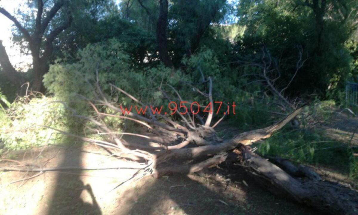 PATERNO': PROLUNGATA LA CHIUSURA DELLA VILLA MONCADA - 