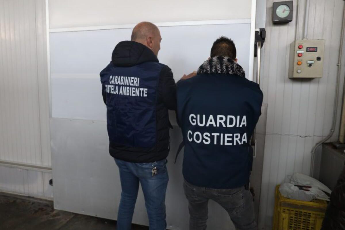 ACIREALE, CALCE PER EDILIZIA NEL PESCE, ACQUA INQUINATA IN STABILIMENTO: SEQUESTRO ALLA JONICA PESCA - 
