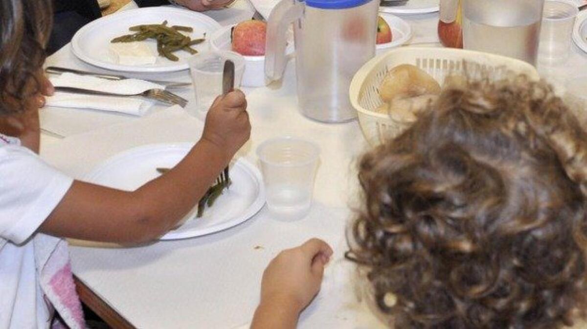 CALTANISSETTA. NAS SEQUESTRANO 8 TONNELLATE DI CARNE DESTINATA A MENSE SCOLASTICHE: SCADUTA CON DATA CONTRAFFATTA - 