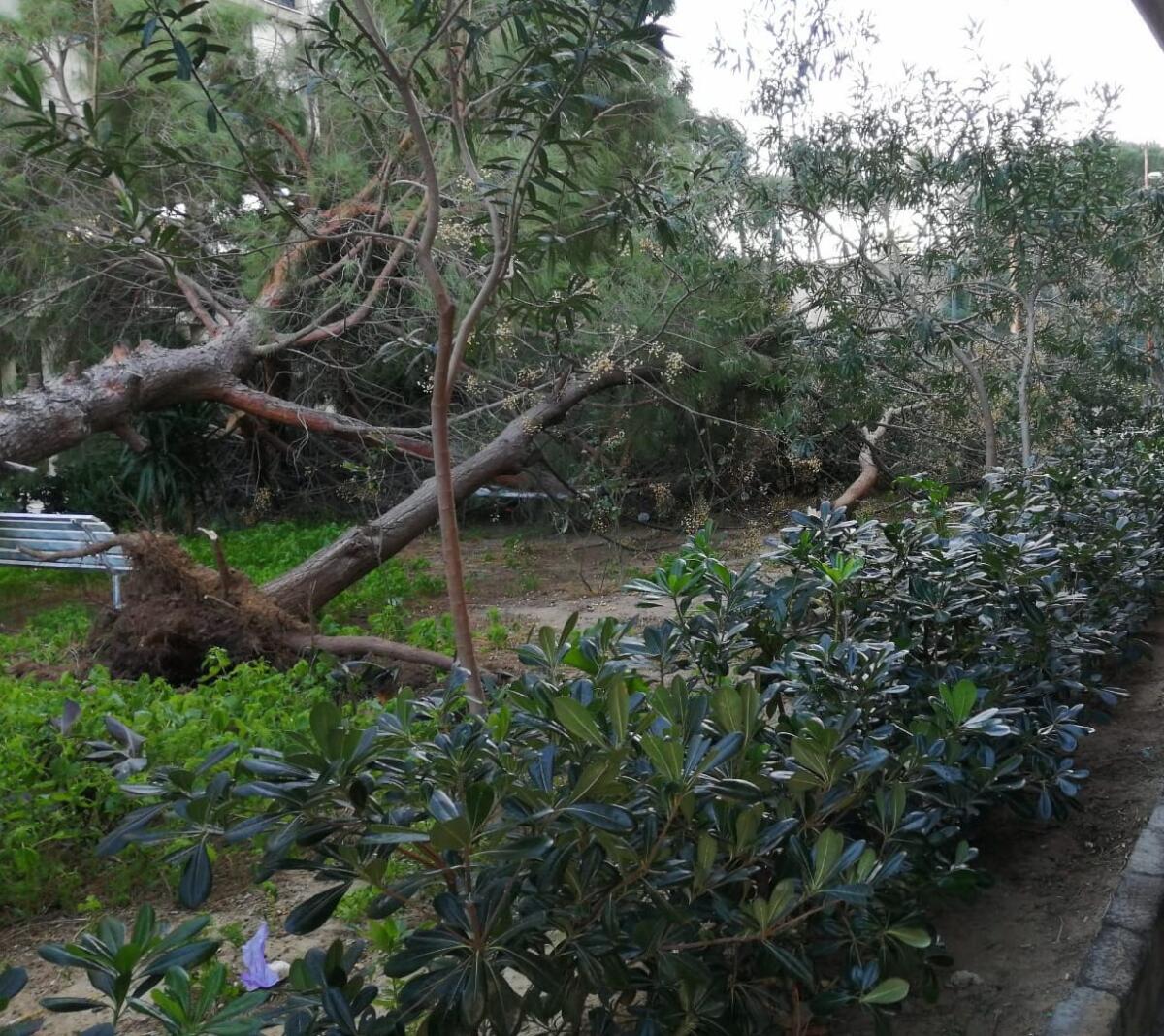 PATERNO': CHIUSURA DEI PARCHI URBANI E CIMITERI PER IL 6 E 7 GENNAIO 2020, A CAUSA DELLE CONDIZIONI METEO AVVERSE. - 