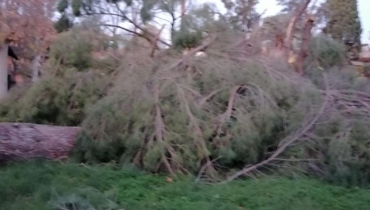 PATERNO’: CHIUSA LA VILLA MONCADA FINO AL 14 GENNAIO - 