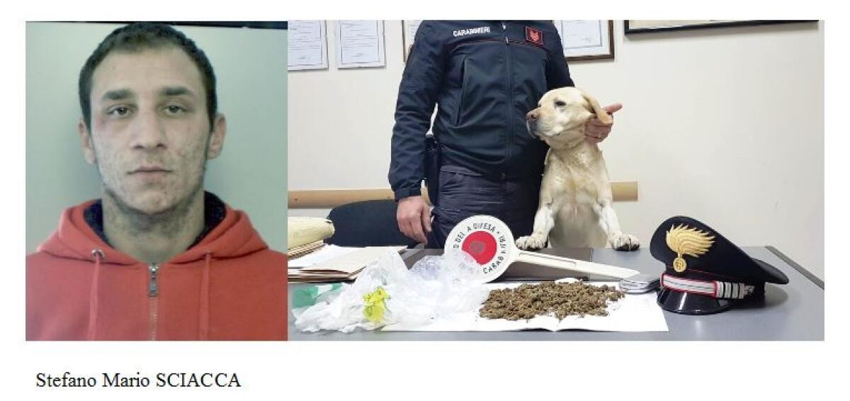 MASCALI:  IVAN “IL TERRIBILE” SCOVA LA DROGA A CASA DEL PUSHER - 