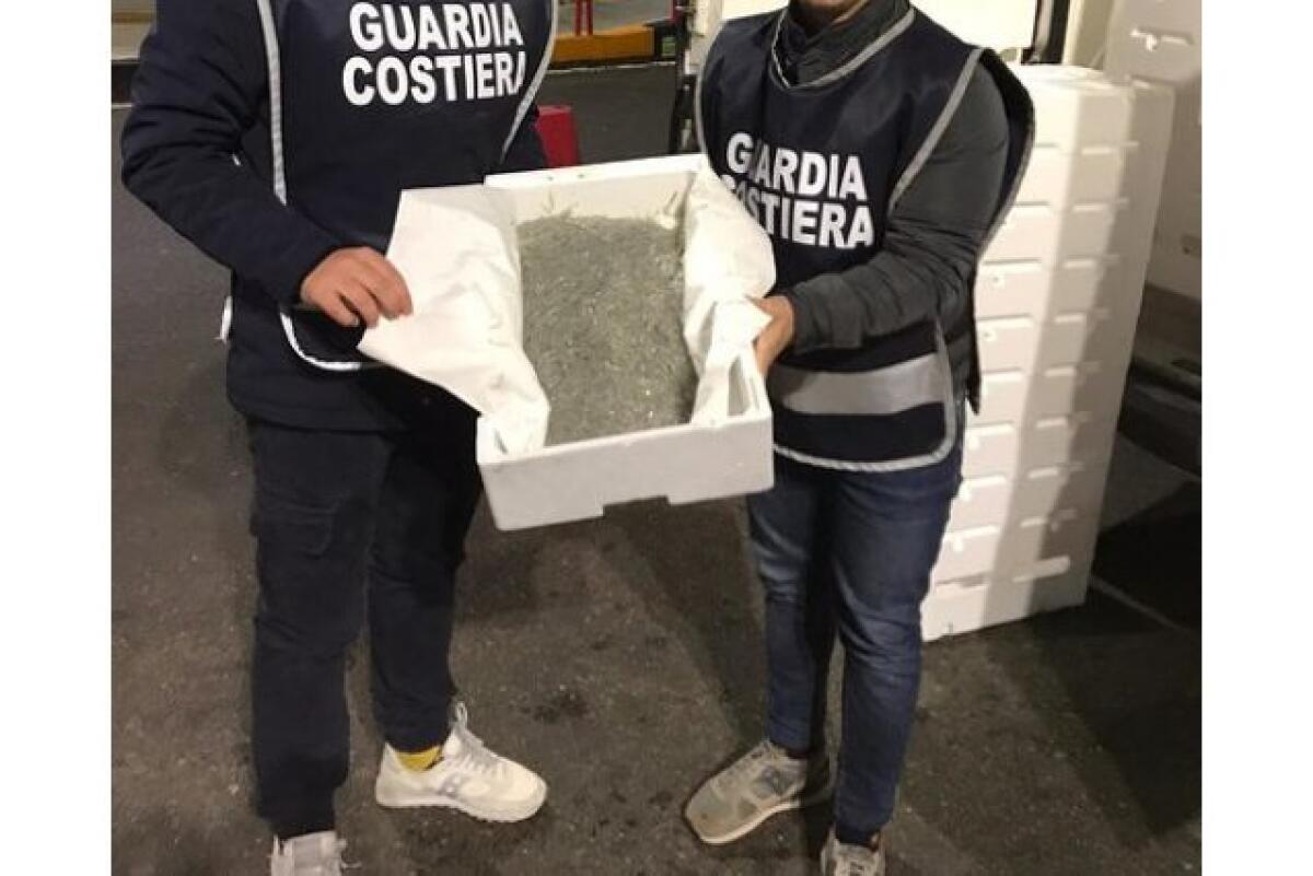 SUL TRAGHETTO PER MESSINA CON OLTRE 1000 KG DI NOVELLAME DI SARDA: MAXI SEQUESTRO NELLA NOTTE - 