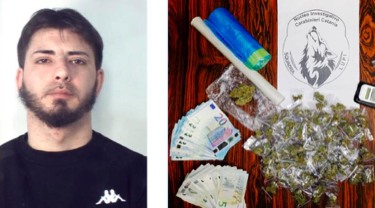 CATANIA. AI DOMICILIARI ARROTONDAVA CON L’ERBA. ARRESTATO, NON SI PRESENTA IN UDIENZA ED È TUTTORA RICERCATO - 