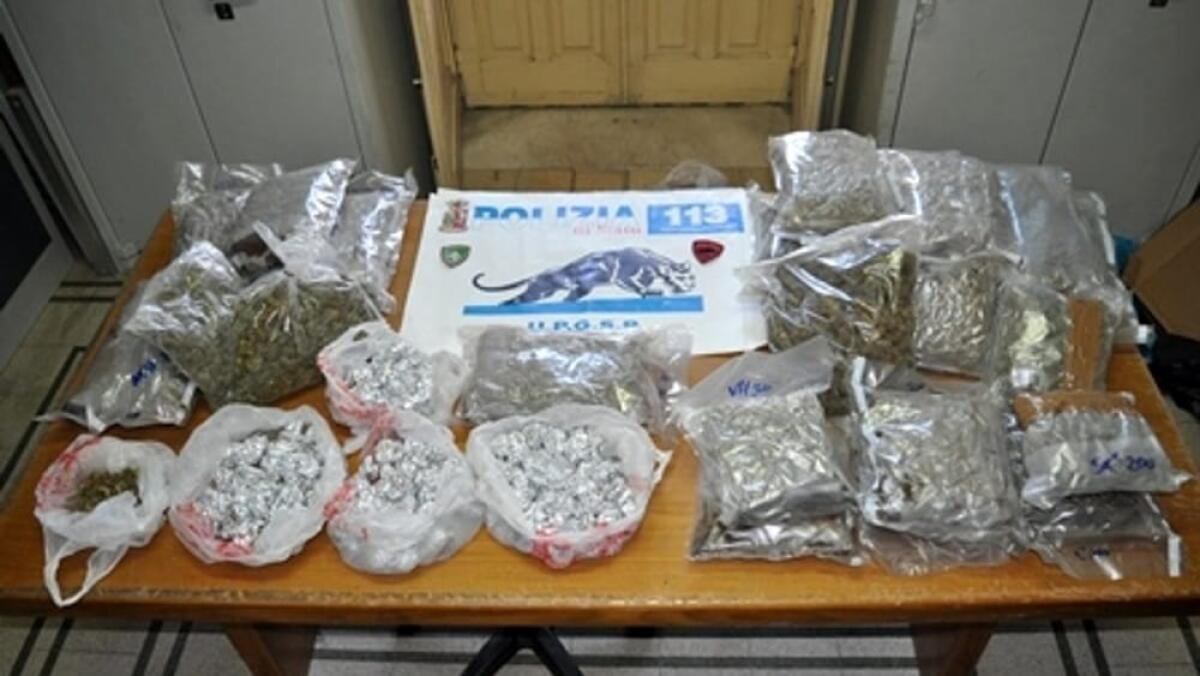 CATANIA, I CANI ANTIDROGA SCOVANO 10 CHILI DI MARIJUANA IN UN CONDOMINIO - 