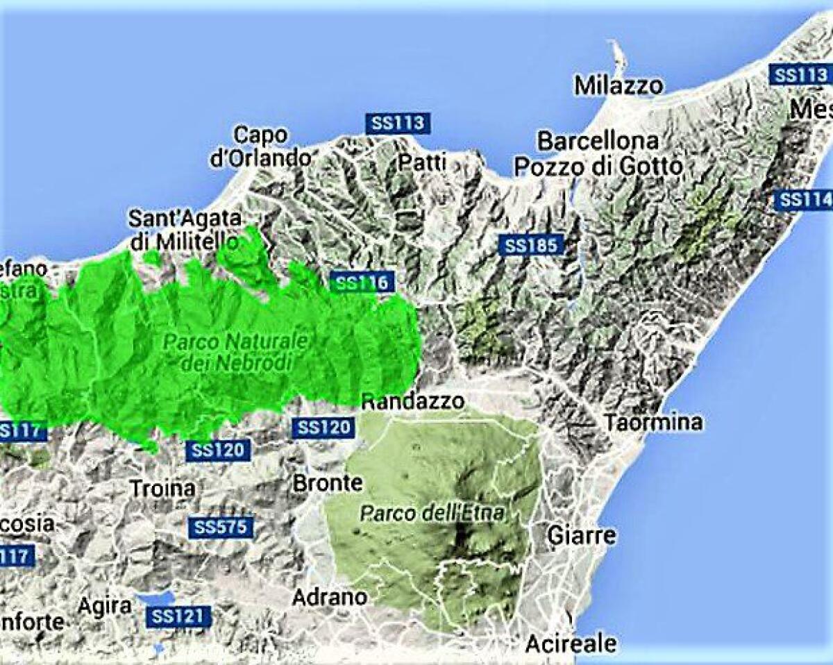 MESSINA, LE MANI DEI CLAN SUI FONDI UE: 94 ARRESTI, COINVOLTI CATANESI TUTTI I NOMI E LE AZIENDE SEQUESTRATE - 