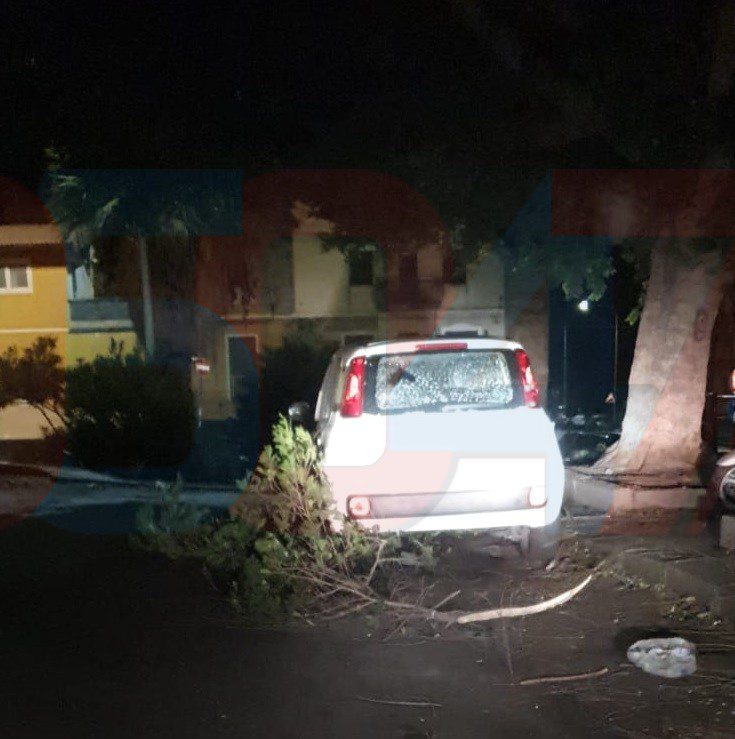 PATERNO': VENTO FORTE, ALBERI SRADICATI, AUTO DANNEGGIATE E TETTI SCOPERCHIATI