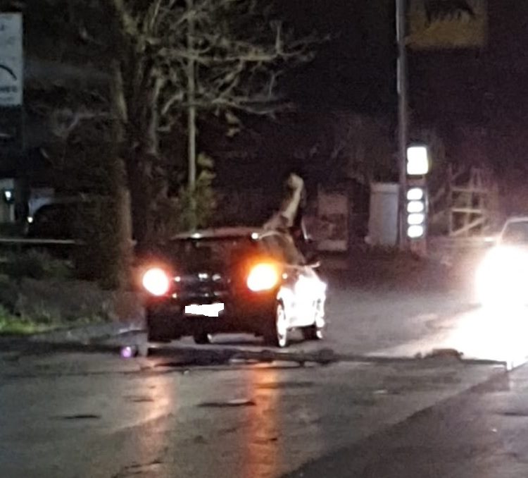 PATERNO': RAMI SPEZZATI,PALI  E COPERTURE DIVELTI DAL FORTE VENTO