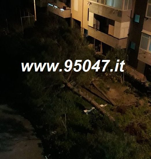 PATERNO': VENTO FORTE, ALBERI SRADICATI, AUTO DANNEGGIATE E TETTI SCOPERCHIATI