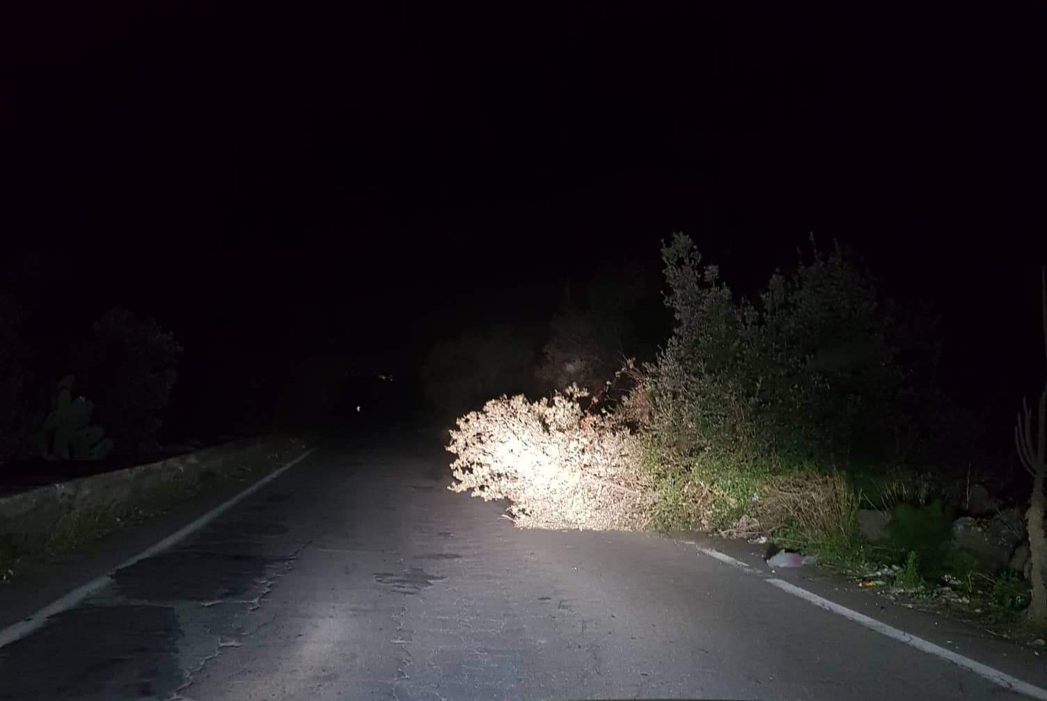 PATERNO': CHIUSURA DEI PARCHI URBANI E CIMITERI PER IL 6 E 7 GENNAIO 2020, A CAUSA DELLE CONDIZIONI METEO AVVERSE.