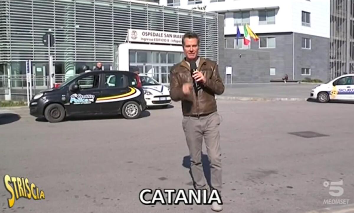 CANI RANDAGI CIRCOLANO INDISTURBATI PER L’OSPEDALE SAN MARCO DI CATANIA - 