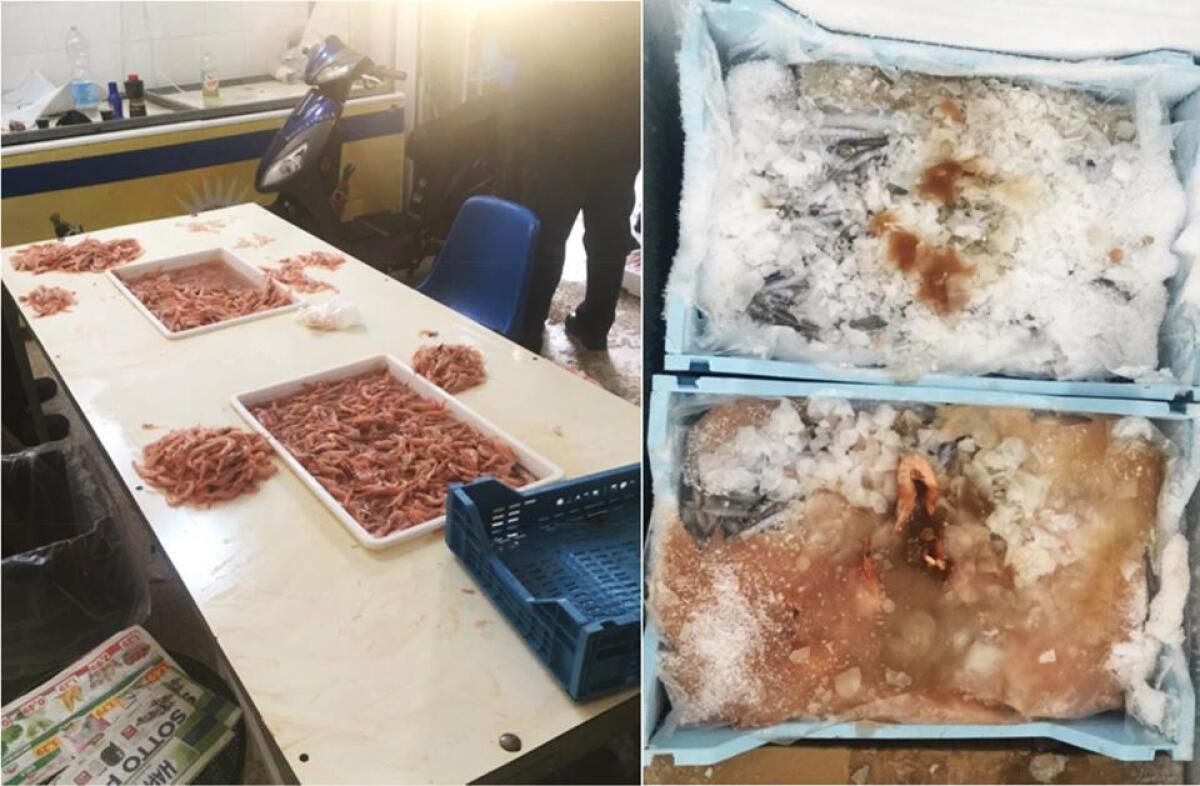 ACIREALE: SCOPERTA ATTIVITA' ABUSIVA PER IL CONFEZIONAMENTO DI PRODOTTI ITTICI - 