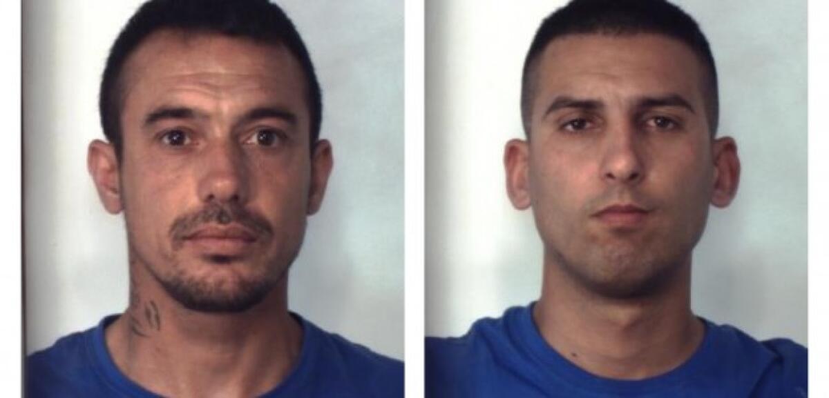 BECCATI A LAVORARE E CONFEZIONARE 180 CHILOGRAMMI DI MARIJUANA NELLE CAMPAGNE DI BELPASSO, ARRESTATI - 