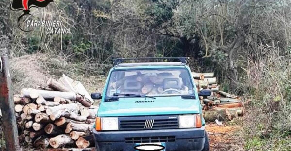 SAN MICHELE DI GANZARIA, RECUPERATO UN CARICO DI LEGNAME RUBATO E DENUNCIATI I DUE LADRI - 