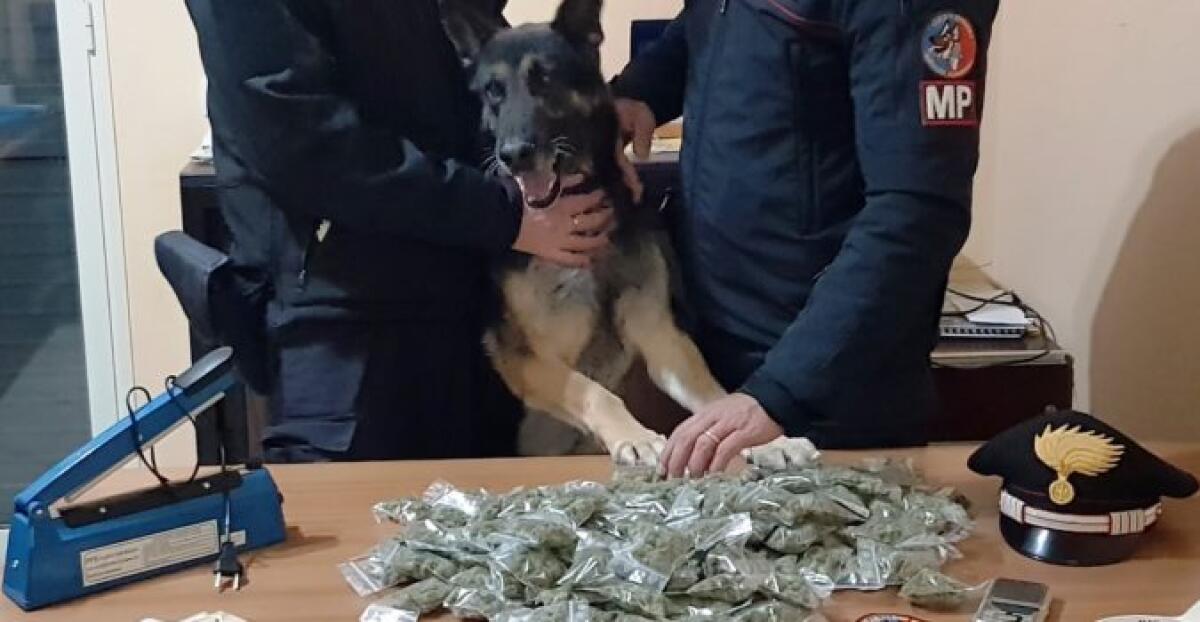 PEDARA: SCOPERTA VILLA  DOVE SI CONFEZIONAVA LA DROGA, PROPRIETARIO IN MANETTE - 