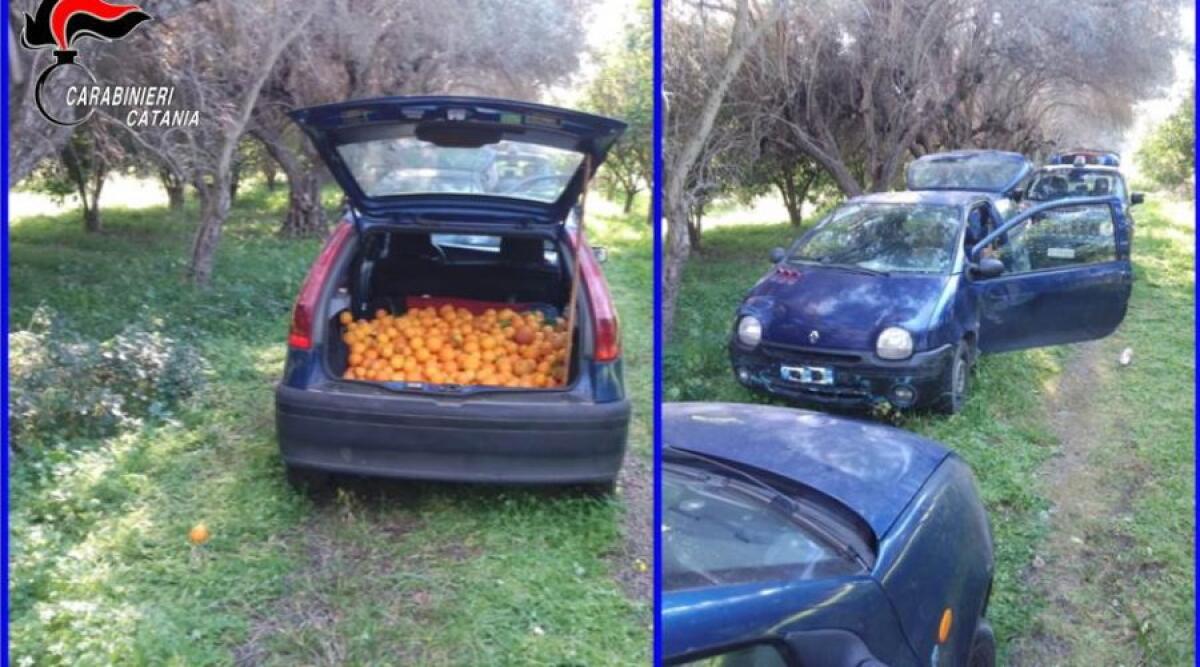 ARRESTATI PER FURTO 2 FRATELLI DI PATERNO’, NELLE AUTO 400 KG DI ARANCE - 