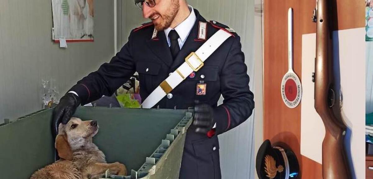 CASTIGLIONE DI SICILIA: SPARA AL CANE CHE SPORCA DAVANTI CASA, DENUNCIATO - 