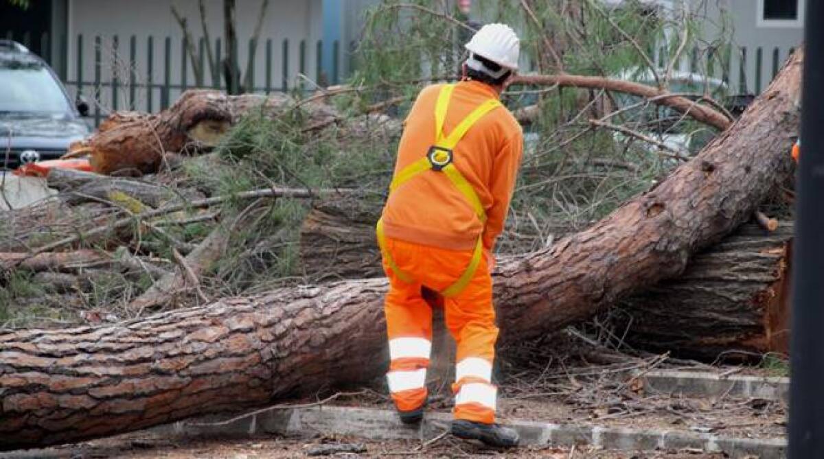PROLUNGAMENTO CHIUSURA DI VILLA MONCADA E ORDINANZA PER TAGLIO RAMI ED ALBERI INTERFERENTI CON SEDE FERROVIARIA - 