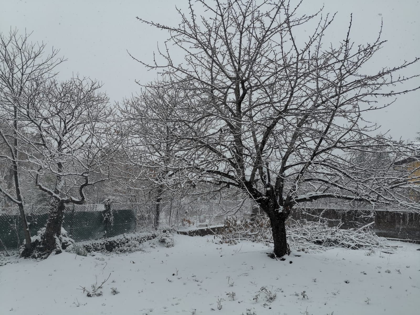 NUCLEO FREDDO IN AZIONE AL CENTRO/SUD: NELLE PROSSIME 12-24 ORE IL CLOU DEL MALTEMPO CON FORTI NEVICATE