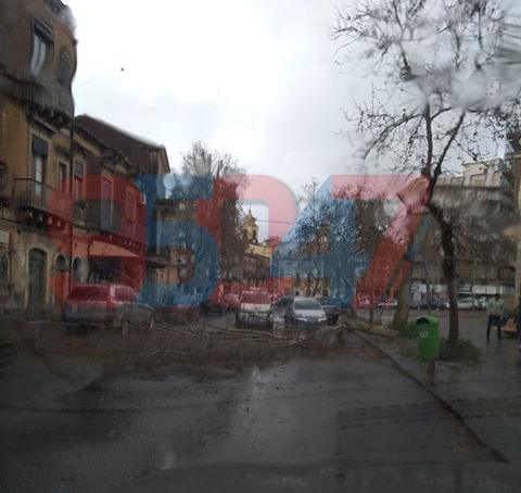 PATERNO’: RAFFICHE DI VENTO, VOLA IL TETTO DI UN PALAZZO IN VIA MILAZZO E ALBERO CADUTO ZONA SANT'ANTONIO