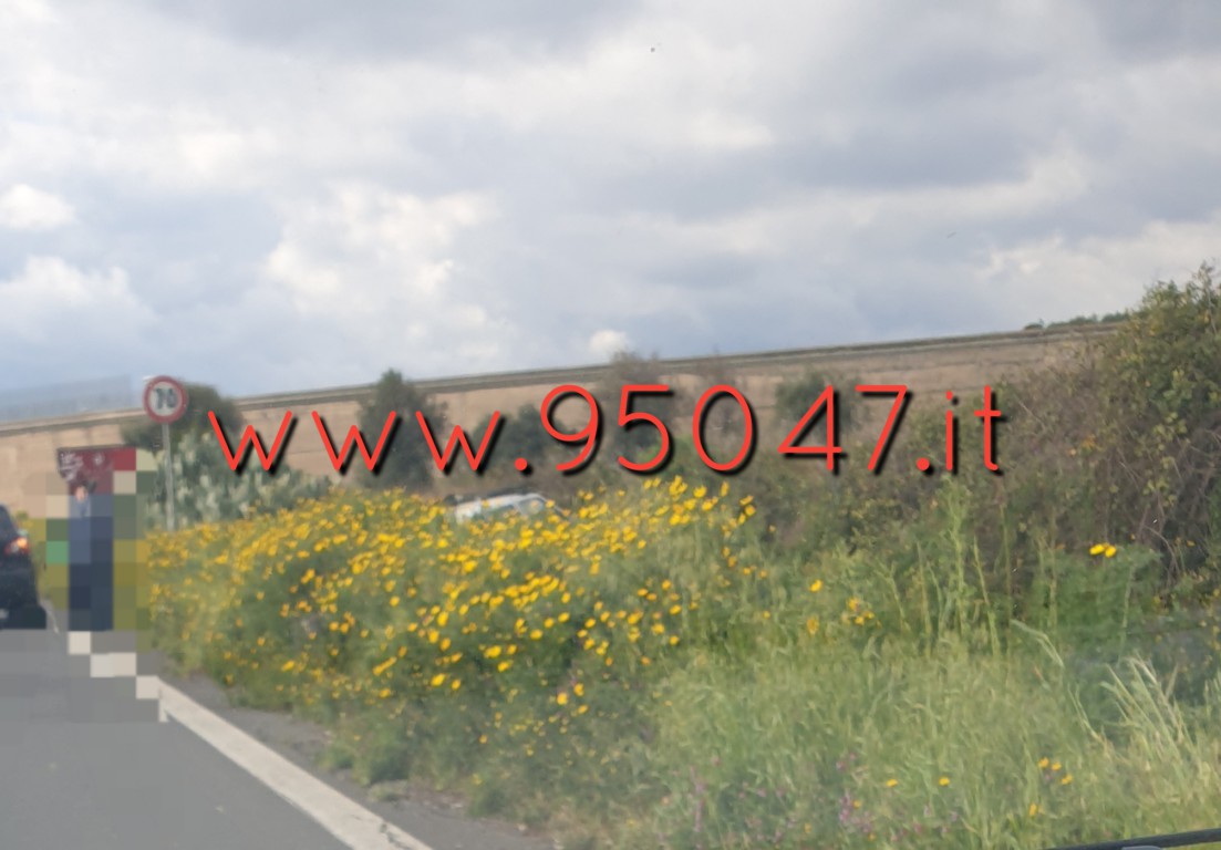 INCIDENTE LUNGO LA SS121, UN’AUTO FINISCE NELLA VEGETAZIONE A BORDO STRADA