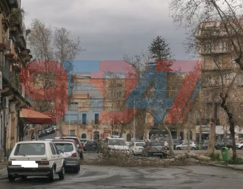 PATERNO’: RAFFICHE DI VENTO, VOLA IL TETTO DI UN PALAZZO IN VIA MILAZZO E ALBERO CADUTO ZONA SANT'ANTONIO