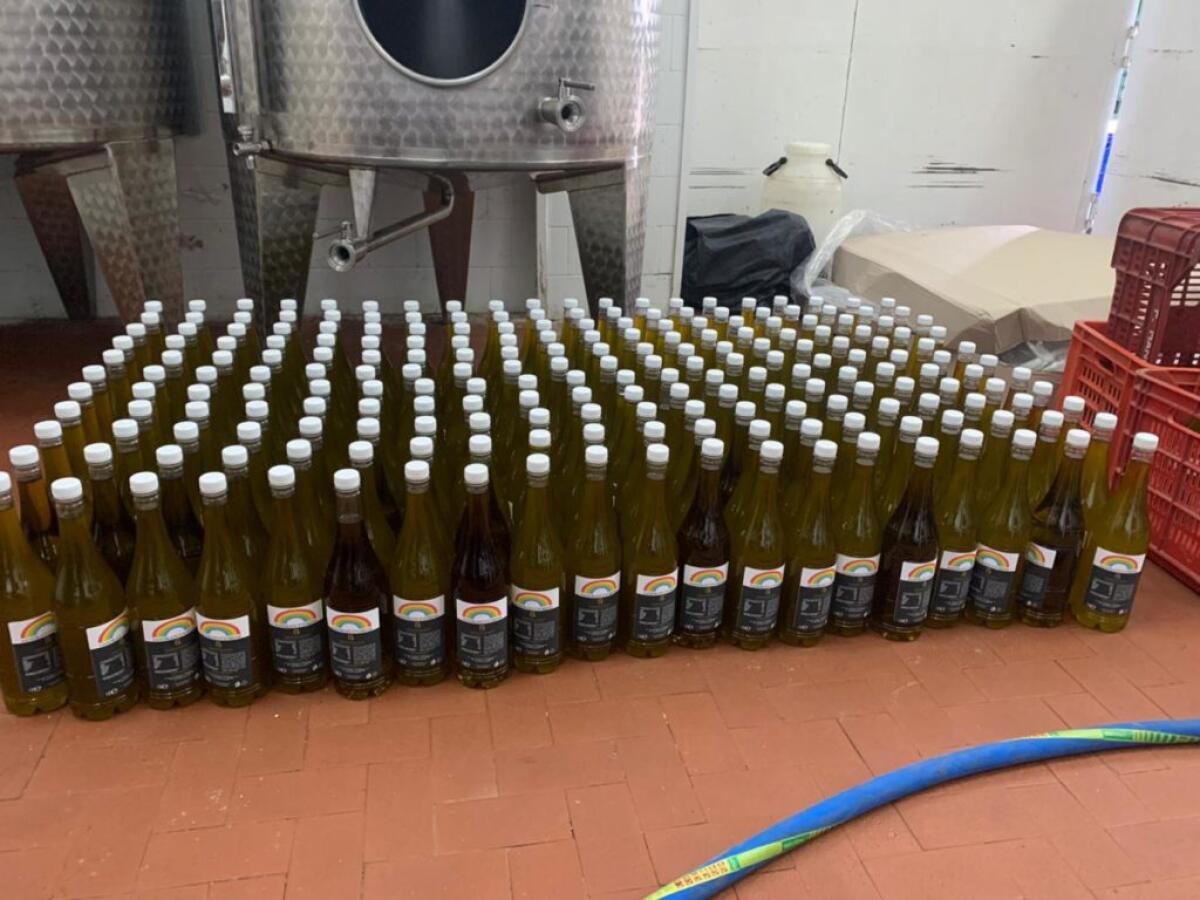 AZIENDA AGRICOLA DONA 500 LITRI DI OLIO EXTRAVERGINE DI OLIVA ALLA CARITAS DI PATERNÒ - 