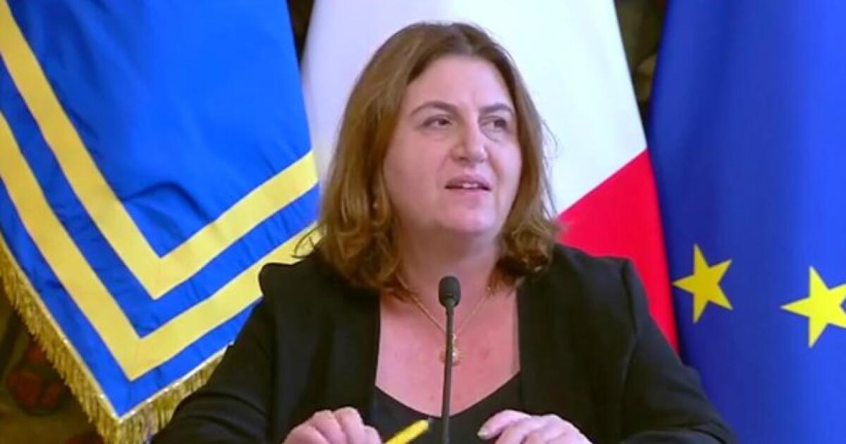 MINISTRO CATALFO, 'IN SETTIMANA PAGAMENTO 600 EURO, NEL PROSSIMO DL BONUS A 800 EURO E REDDITO D’EMERGENZA - 