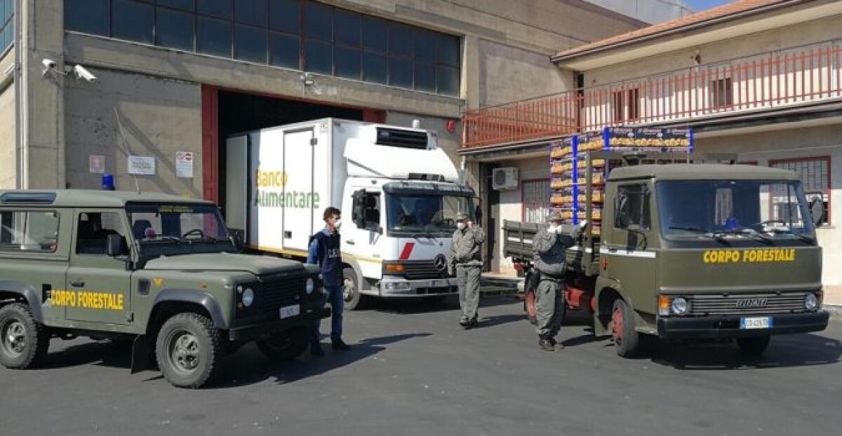 AZIENDA DI PATERNÒ DONA AGRUMI AL BANCO ALIMENTARE - 