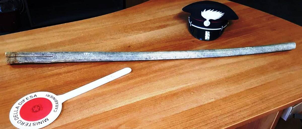 CATANIA. SCOPERTI, MENTRE RUBANO I LIMONI, PICCHIANO I PROPRIETARI DELL’AGRUMETO - 