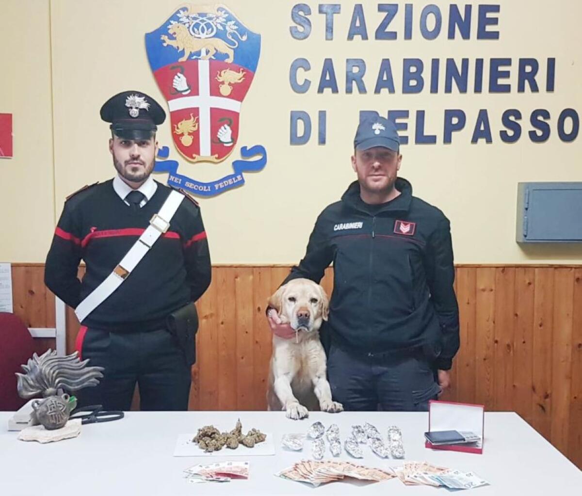 NICOLOSI: IVAN “IL TERRIBILE” FIUTA LA MARIJUANA: UN ARRESTATO - 