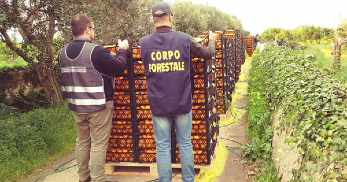 CORONAVIRUS, CONTROLLI ALIMENTARI: IN SICILIA MULTE PER 50MILA EURO - 