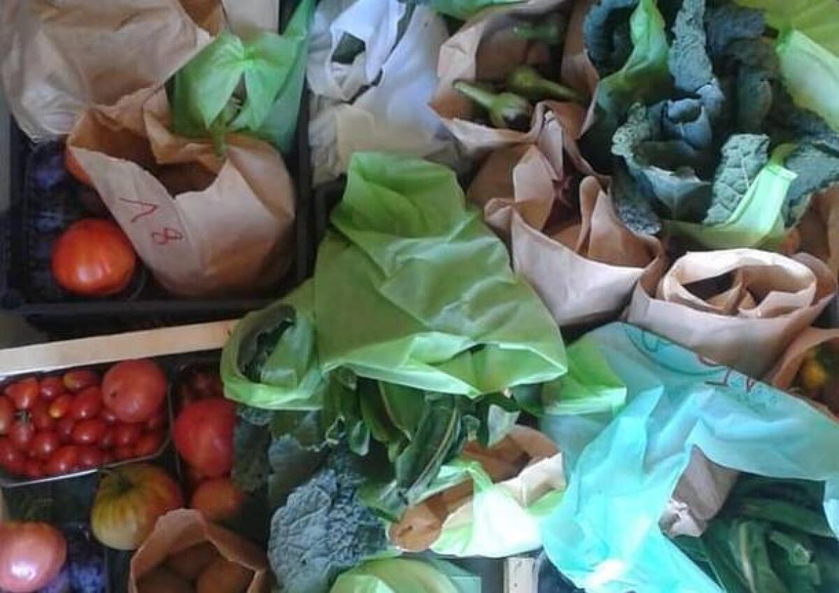 LA SPESA AI TEMPI DEL CORONAVIRUS CAMBIA, BOOM FARINA, LIEVITO E TINTURE DEI CAPELLI - 