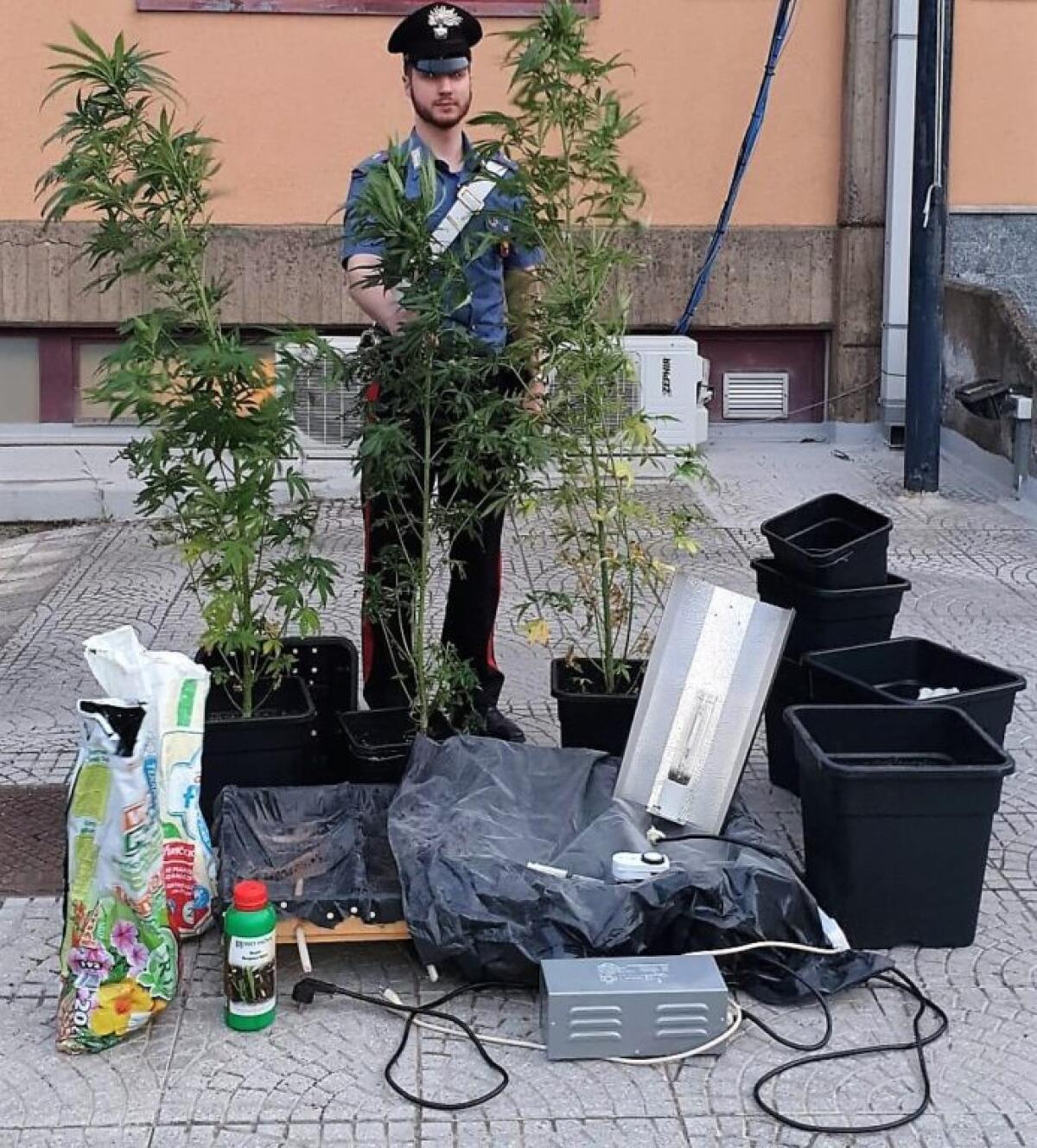 GRAVINA DI CATANIA. COLTIVAVA IN CASA LA CANAPA INDIANA: ARRESTATO - 