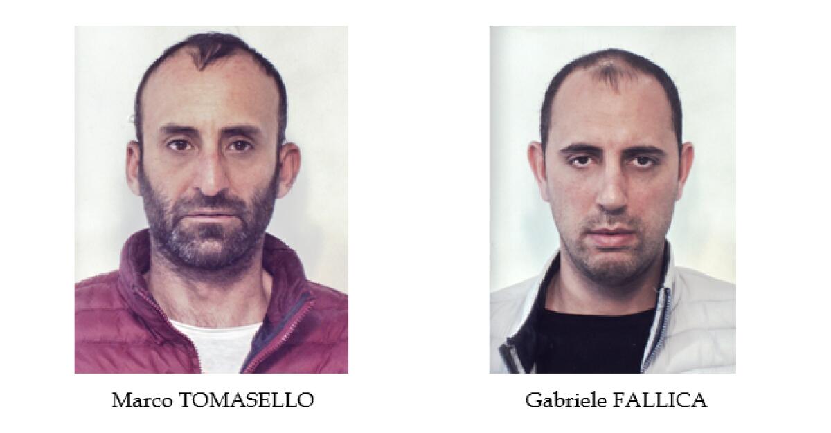 PATERNÒ: COLTIVAVANO CANAPA INDIANA: DUE ARRESTI DEI “LUPI” - 