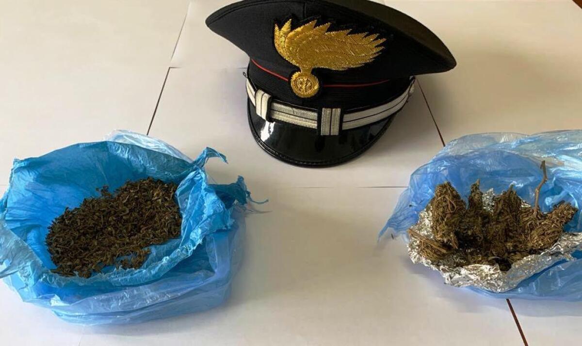 VIZZINI: DENUNCIATO UN PASTORE: NASCONDEVA LA MARIJUANA NELL’OVILE - 