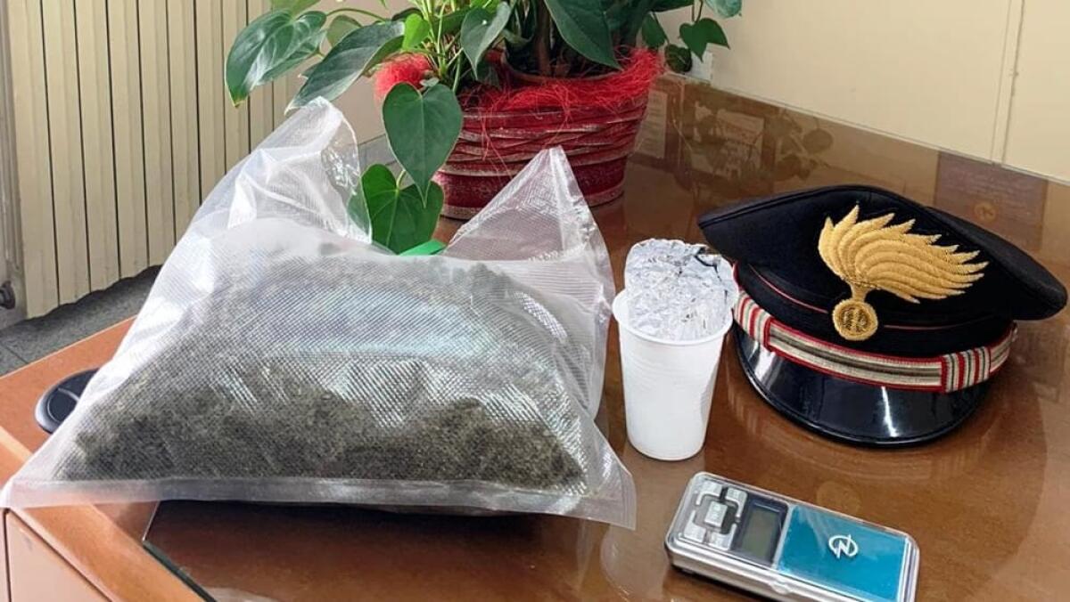 PEDARA: VEDE IL CANE ANTIDROGA E CONSEGNA LA MARIJUANA: ARRESTATO - 