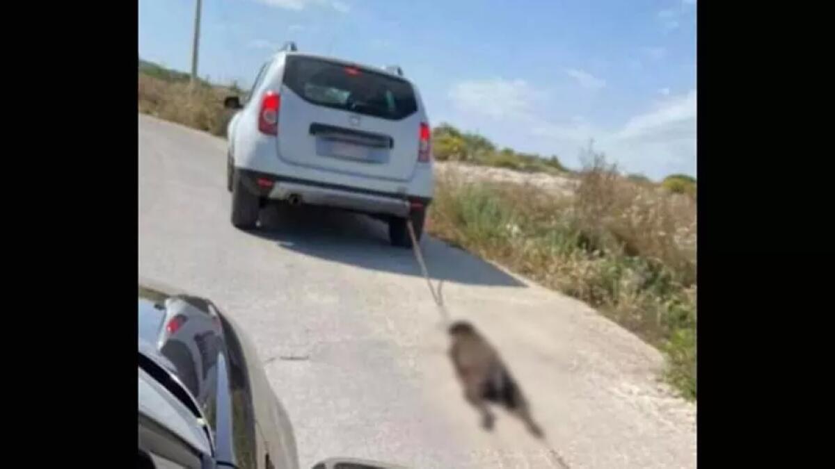 PRIOLO, LEGA IL CANE ALL’AUTO E LO TRASCINA A TUTTA VELOCITÀ: L’ANIMALE RECUPERATO È MORTO IN CLINICA - 