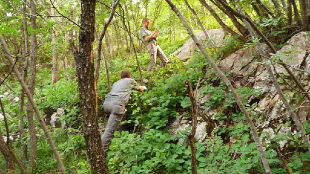 CATANIA. FORESTALI 151ISTI, FLAI-CGIL, FAI-CISL, UILA-UIL CHIEDONO IMMEDIATO AVVIO AL LAVORO - 